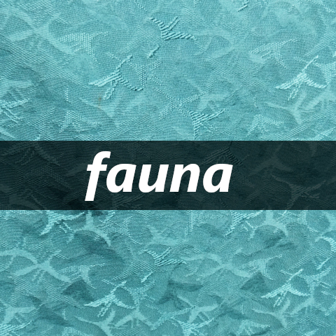 fauna.cranes.teal_480square